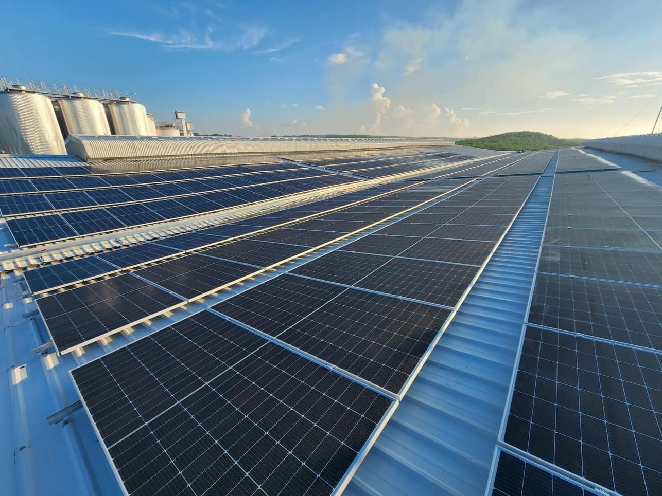 Ph&acirc;n loại tấm pin năng lượng mặt trời - VENERGY